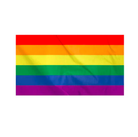 Bandera Diversidad Arcoiris 90 X 145 Cm 1 Unidad