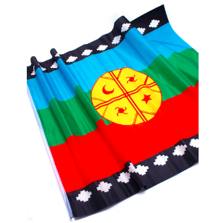 Bandera Mapuche Palito